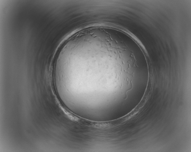 X0000084011053200702161156