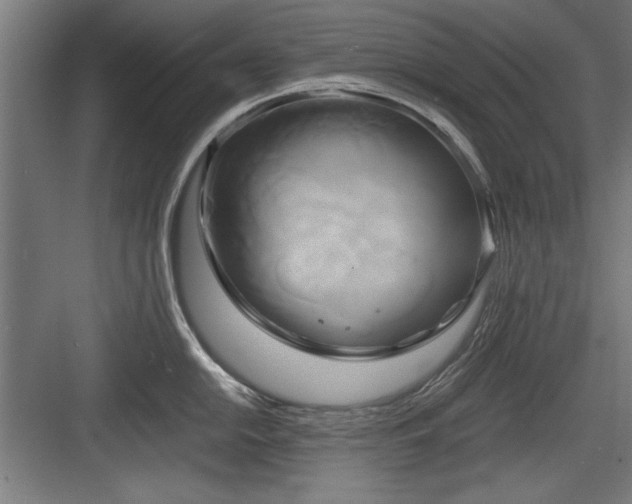 X0000084011054200702161156