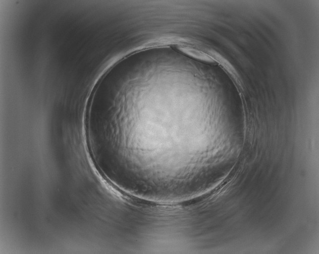 X0000084011055200702161156