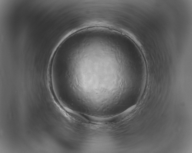X0000084011056200702161156