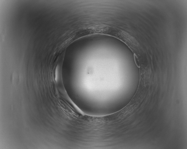 X0000084011058200702161156