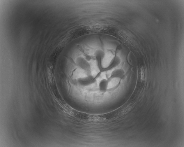 X0000084011059200702161156