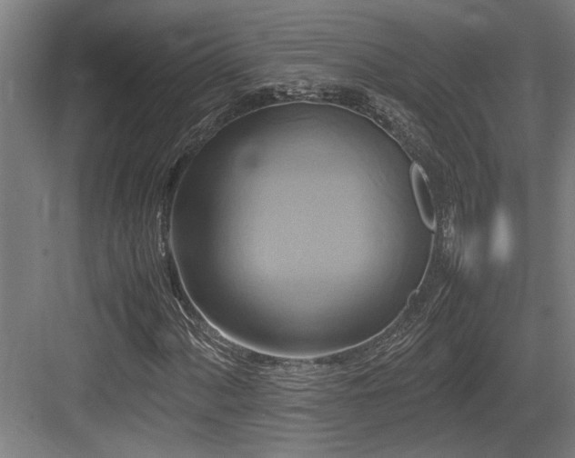 X0000084011060200702161156