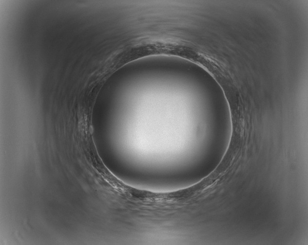 X0000084011061200702161156