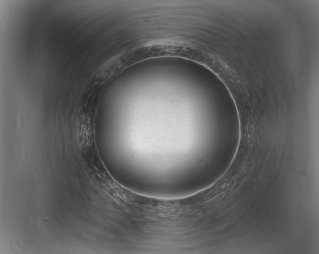 X0000084011062200702161155