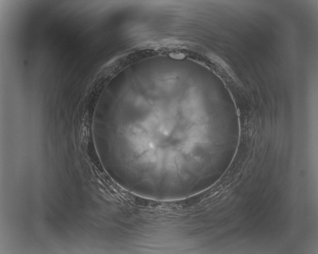 X0000084011063200702161155