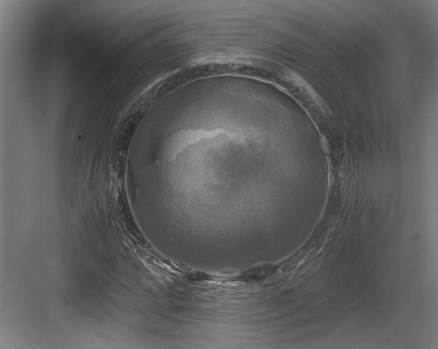 X0000084011064200702161155