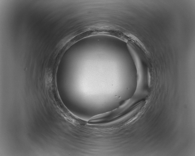 X0000084011065200702161155