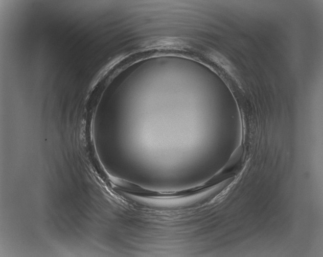 X0000084011066200702161155