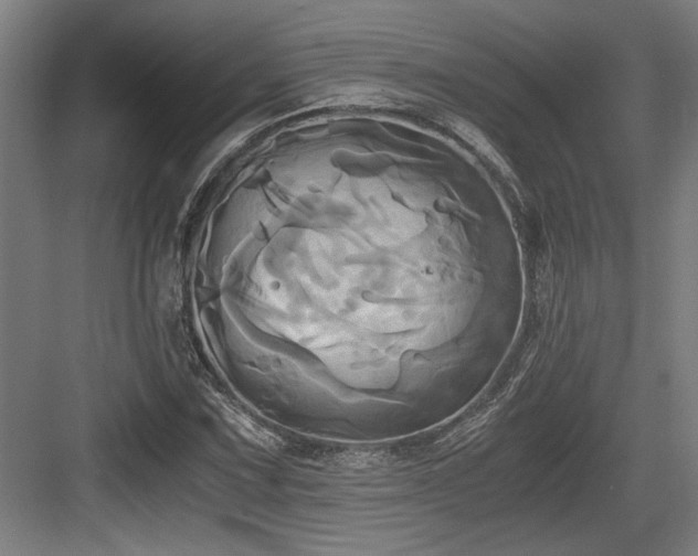 X0000084011067200702161155