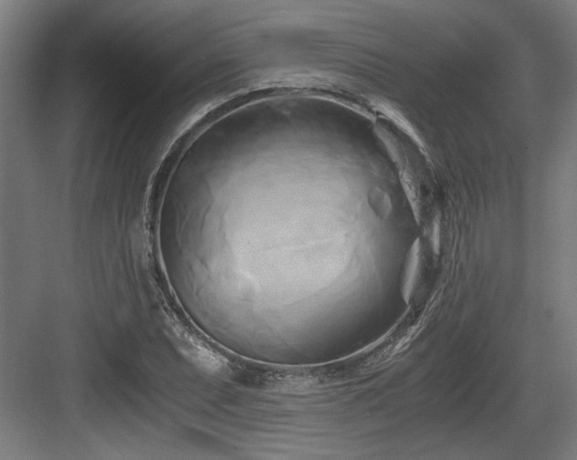 X0000084011071200702161155