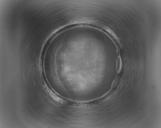 X0000084011072200702161155