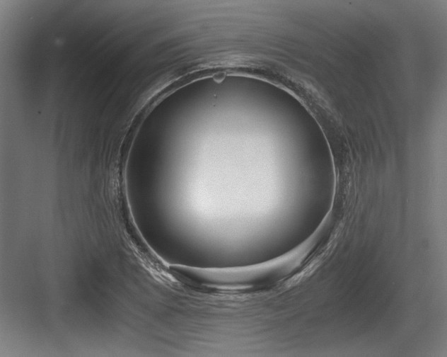 X0000084011073200702161155