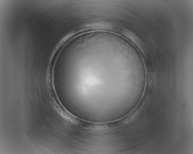 X0000084011074200702161155