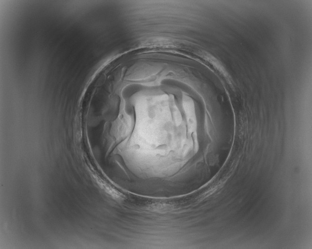 X0000084011075200702161155