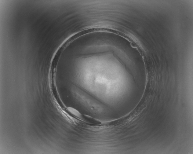 X0000084011076200702161155