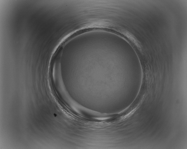 X0000084011077200702161155