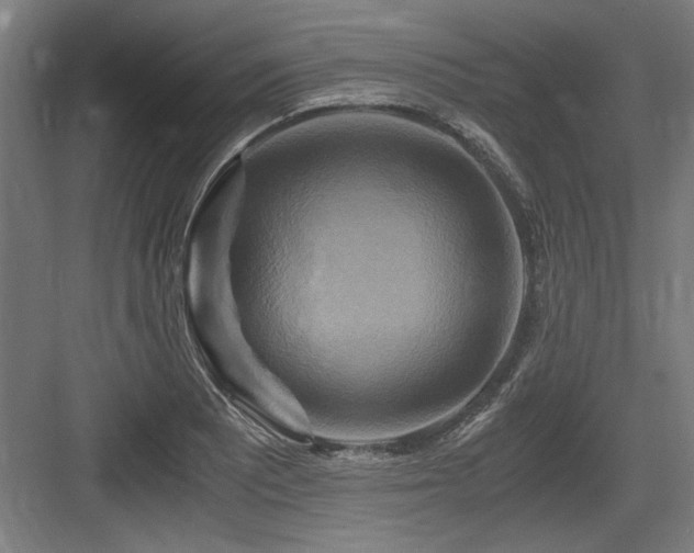 X0000084011081200702161155
