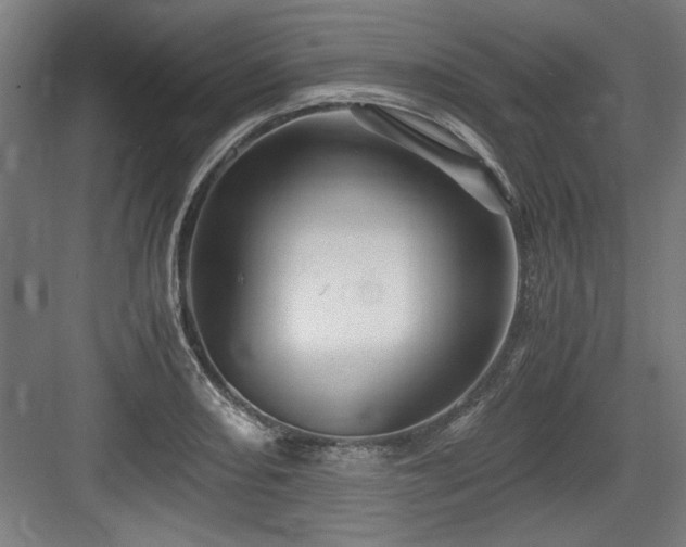 X0000084011082200702161155