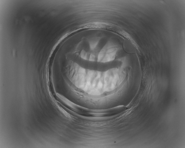 X0000084011083200702161155