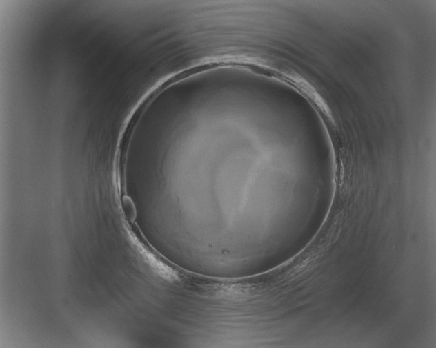 X0000084011084200702161155