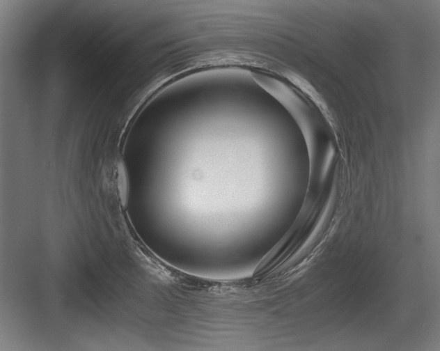 X0000084011089200702161155