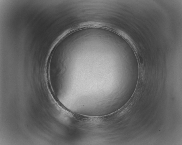 X0000084011090200702161155