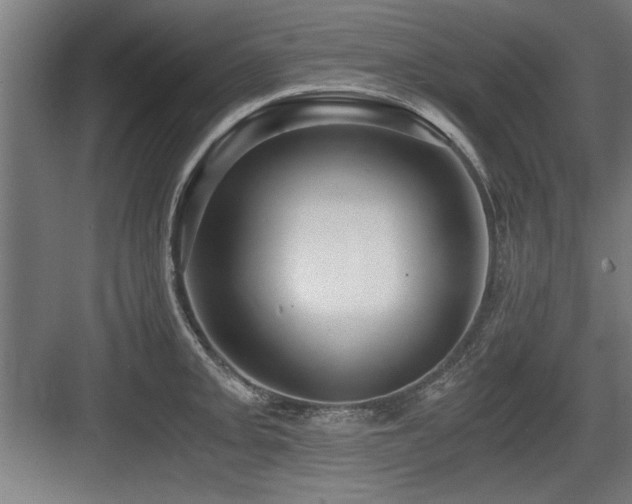 X0000084011093200702161155