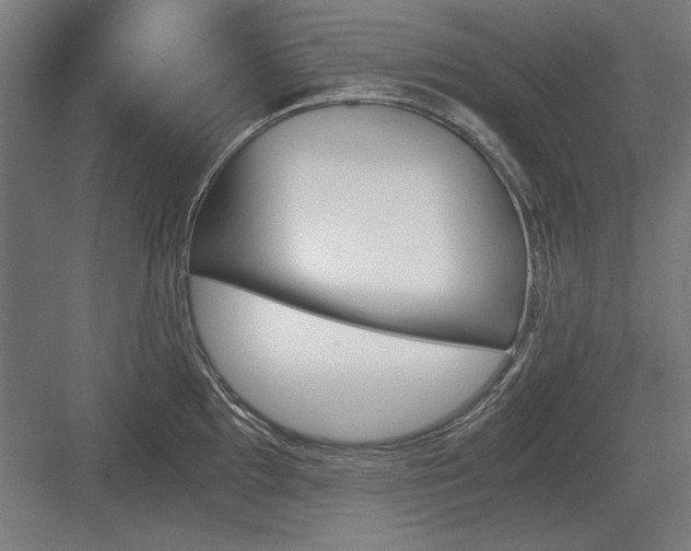 X0000084011097200702161155