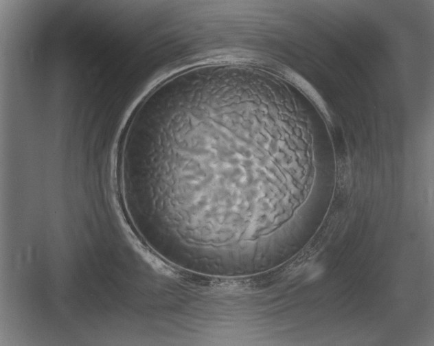 X0000084011099200702161155