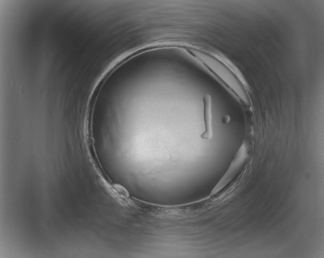 X0000084011101200702161155