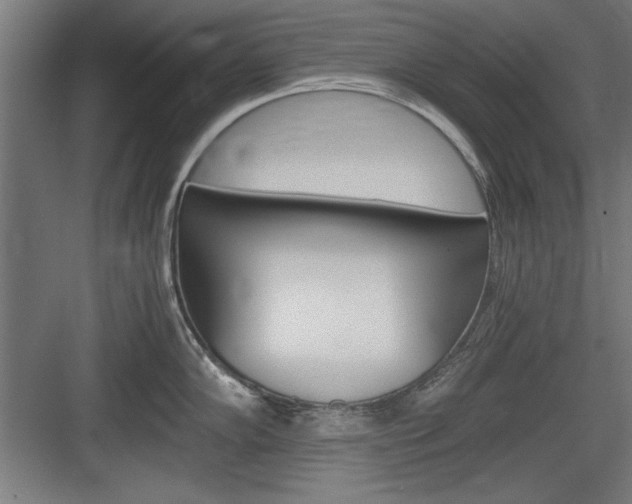 X0000084011102200702161155