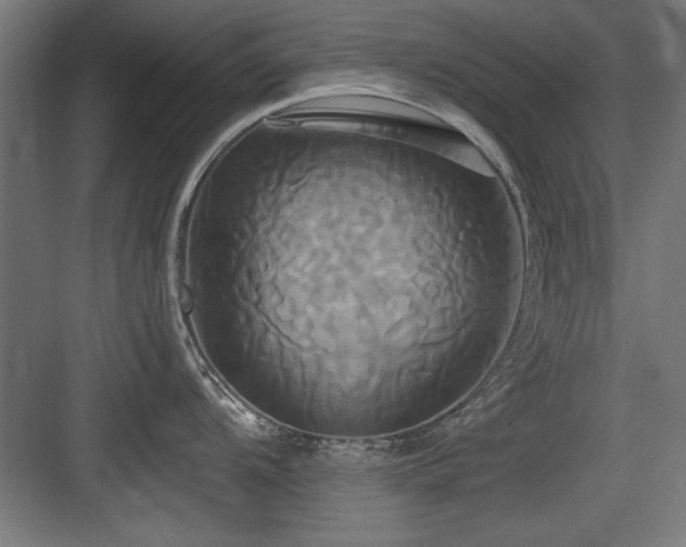 X0000084011104200702161155