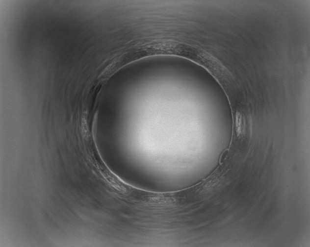 X0000084011107200702161154