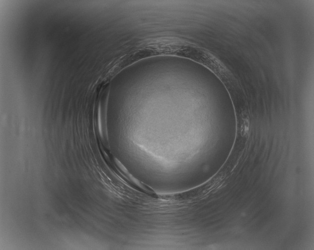 X0000084011108200702161154