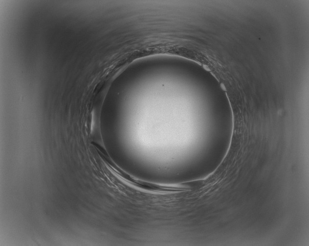 X0000084011109200702161154