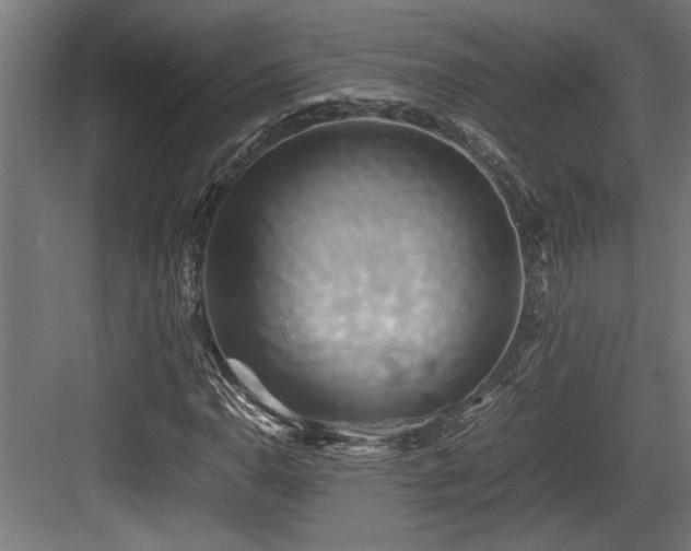 X0000084011110200702161154