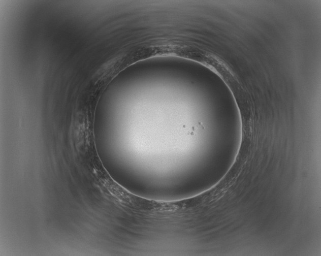 X0000084011111200702161154