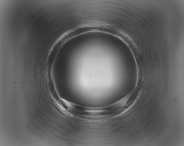 X0000084011114200702161154