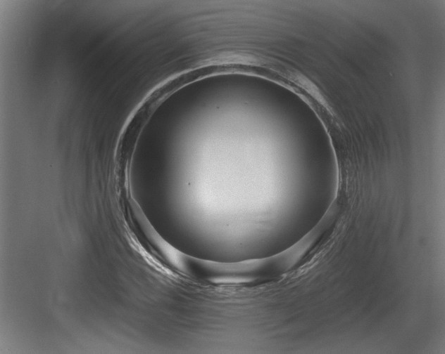 X0000084011116200702161154