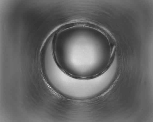 X0000084011118200702161154
