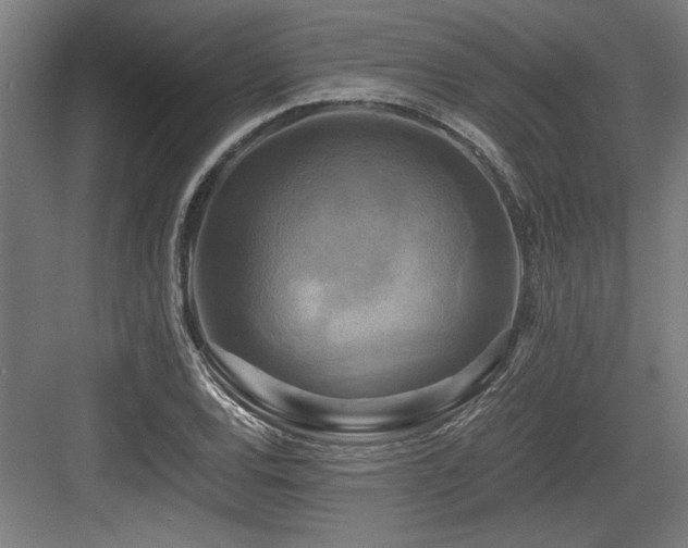 X0000084011120200702161154