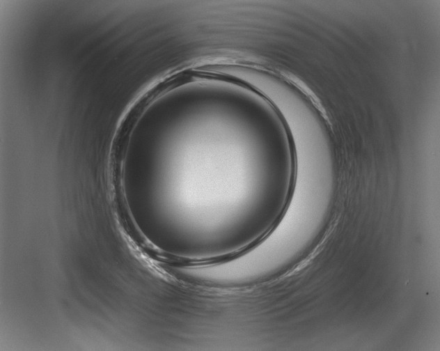 X0000084011122200702161154