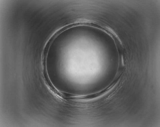 X0000084011124200702161154