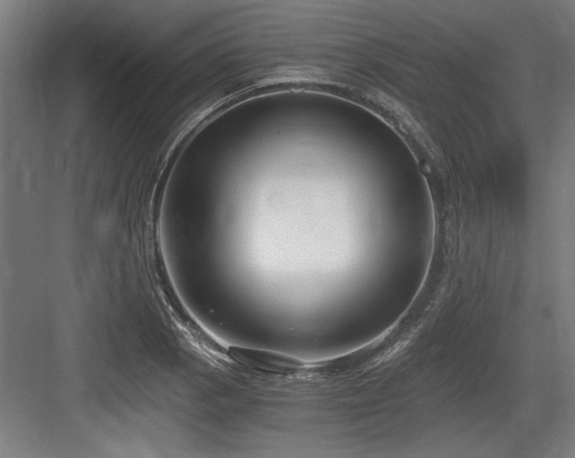 X0000084011129200702161154