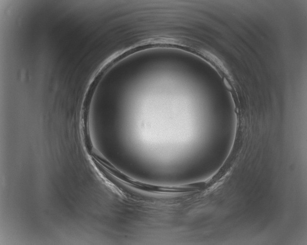 X0000084011133200702161154