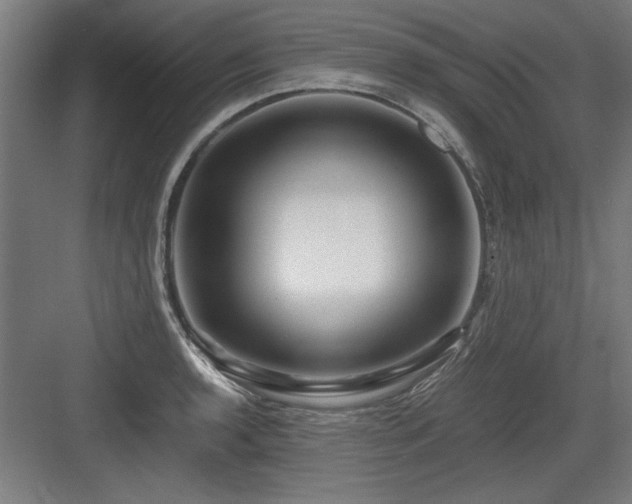 X0000084011136200702161154
