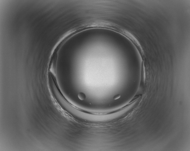 X0000084011138200702161155