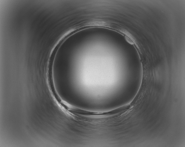 X0000084011139200702161155