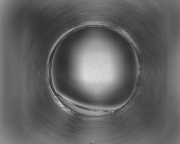 X0000084011140200702161155